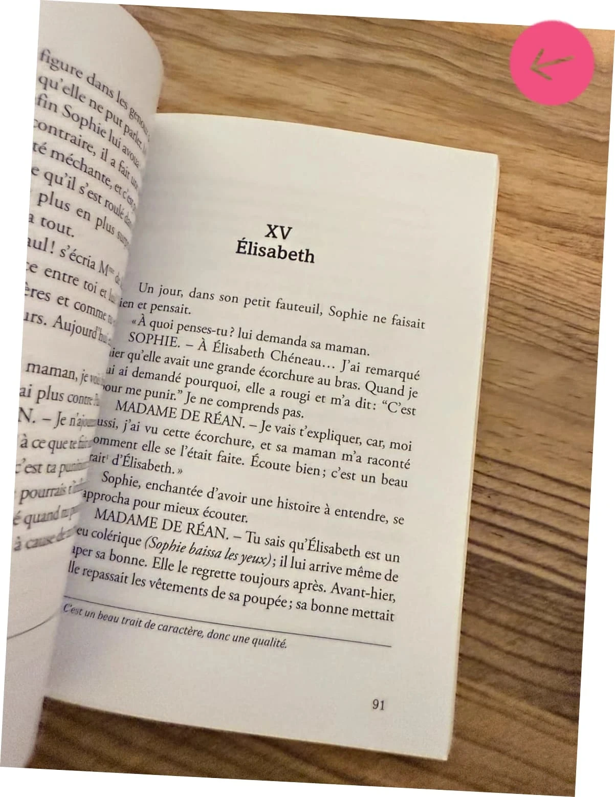 Livre les malheurs de Sophie – photo 2